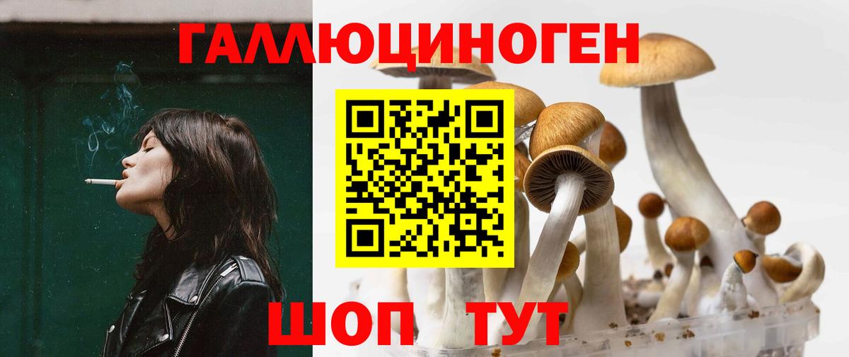 Псилоцибиновые грибы Magic Shrooms  Вход с VPN  Аша 
